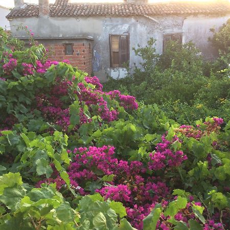 Parmis Rooms Çeşme Eksteriør bilde